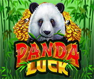 Panda Luck