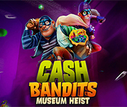 Cash Bandits Museum Heist